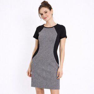 Ann Taylor Soft Stretch Knit Dress S